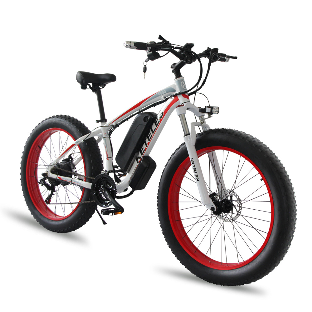 Best Fat Tire Electric Bike 2021 2022 Adult Fat Tyre E Bike