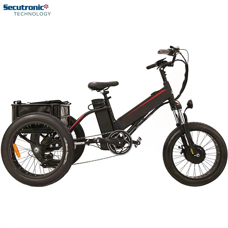 Electric Tricycle Fat Cargo 3 Wheel Electric Bike Bicycle