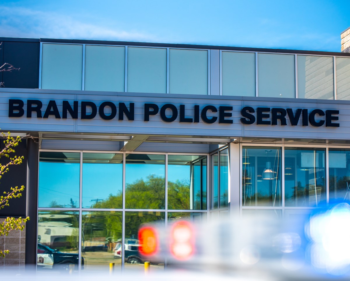 Police caution of online puppy fraud Buzz eBrandon Brandon