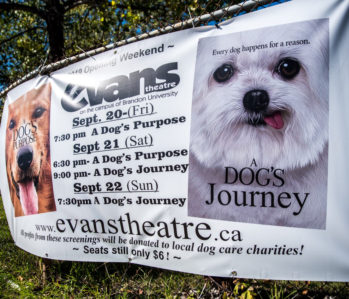 ‘A Dog’s Weekend’ to kick off 2019 season for Evans Theatre Buzz
