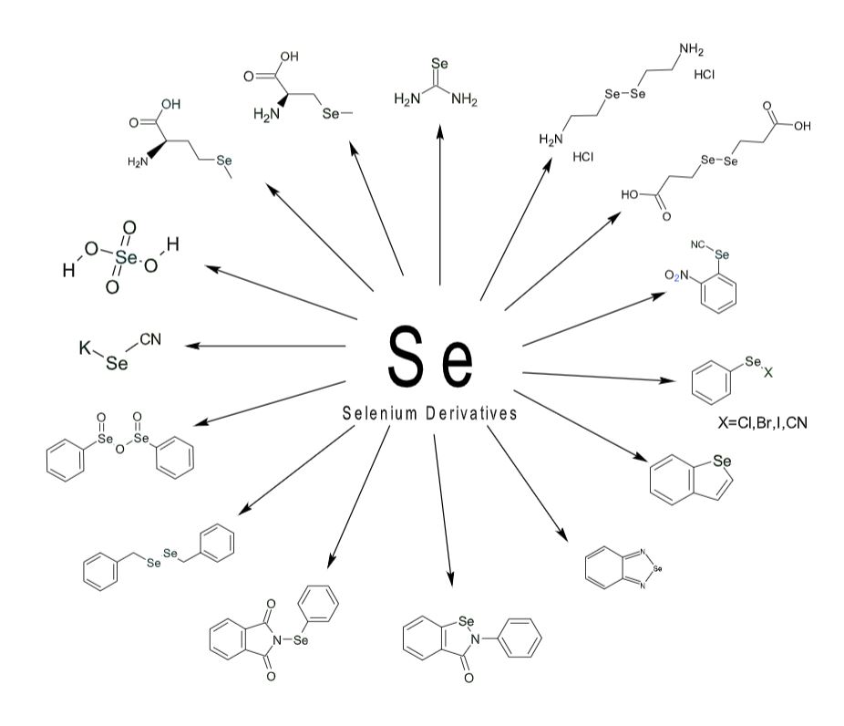 Selenium Derivatives Eburon