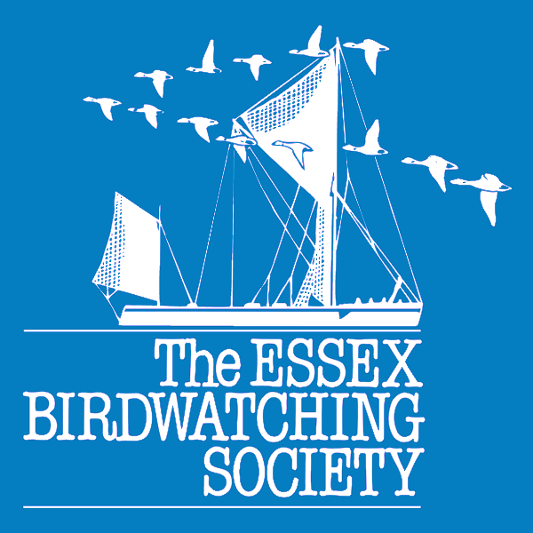 BCBW24 how to watch the shows and check the sightings Essex