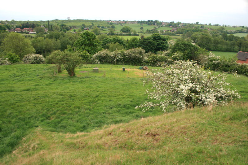 CASTLE GRESLEY (CASTLE KNOB)
