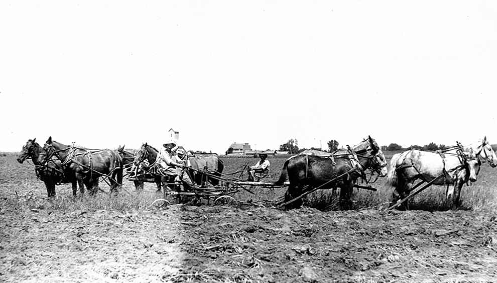 Tisdale Pictures and history