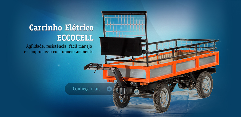 Carrinhos Elétricos Saiba mais sobre os carrinhos elétricos