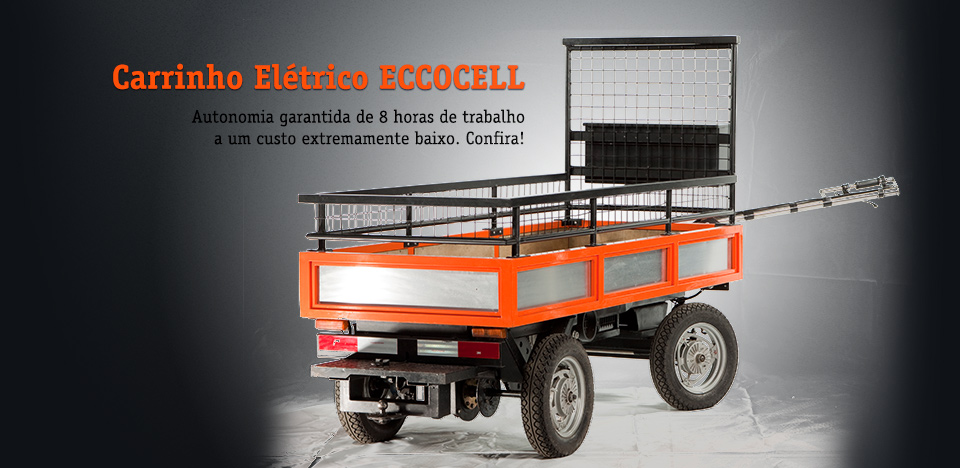 Carrinhos Elétricos Saiba mais sobre os carrinhos elétricos