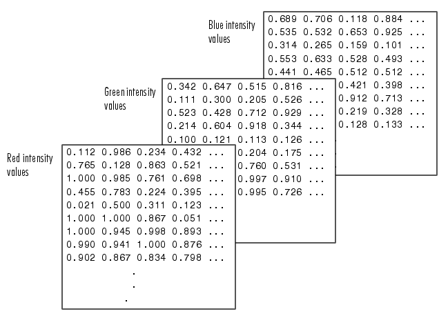 Structures and Cell Arrays (Programming and Data Types)