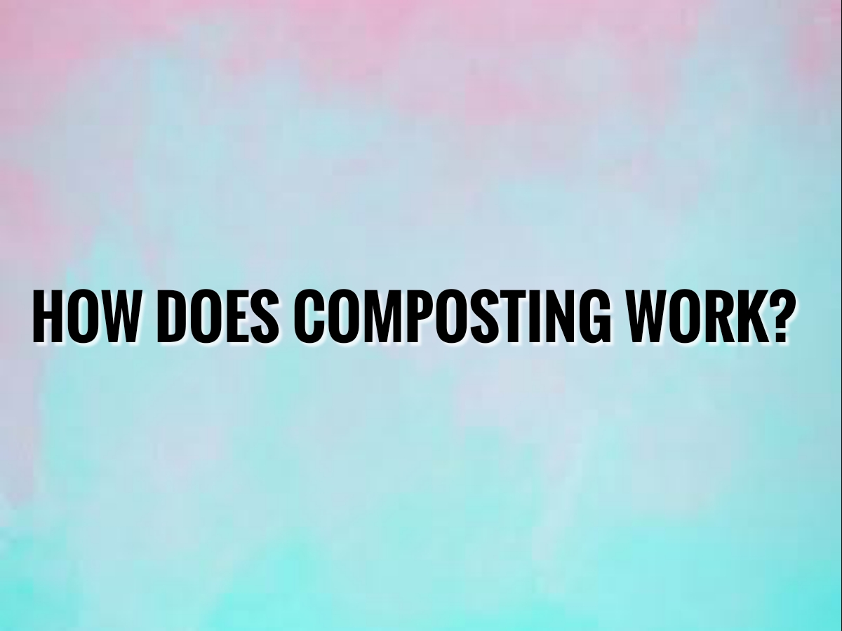 How Does Organic Waste Composter Work ECEPL
