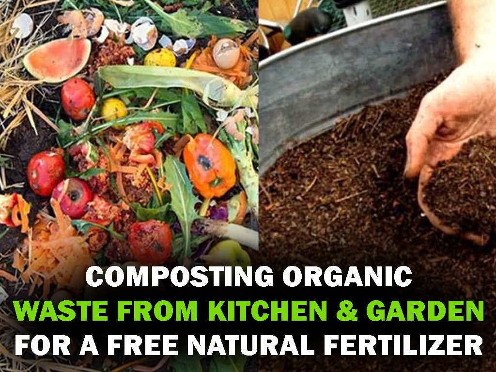 Composting Organic Waste from Kitchen and Garden for a Free Natural