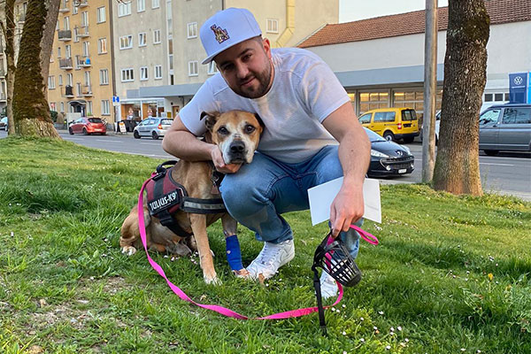 Témoignages Cancer de la Rate chez le Chien