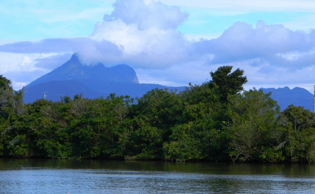 Tweed moves to recognise Aboriginal history The Echo