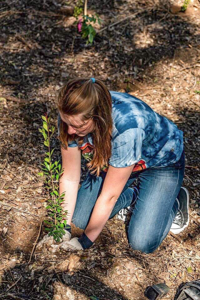 Landcare Group plants 1100 trees in Lismore The Echo