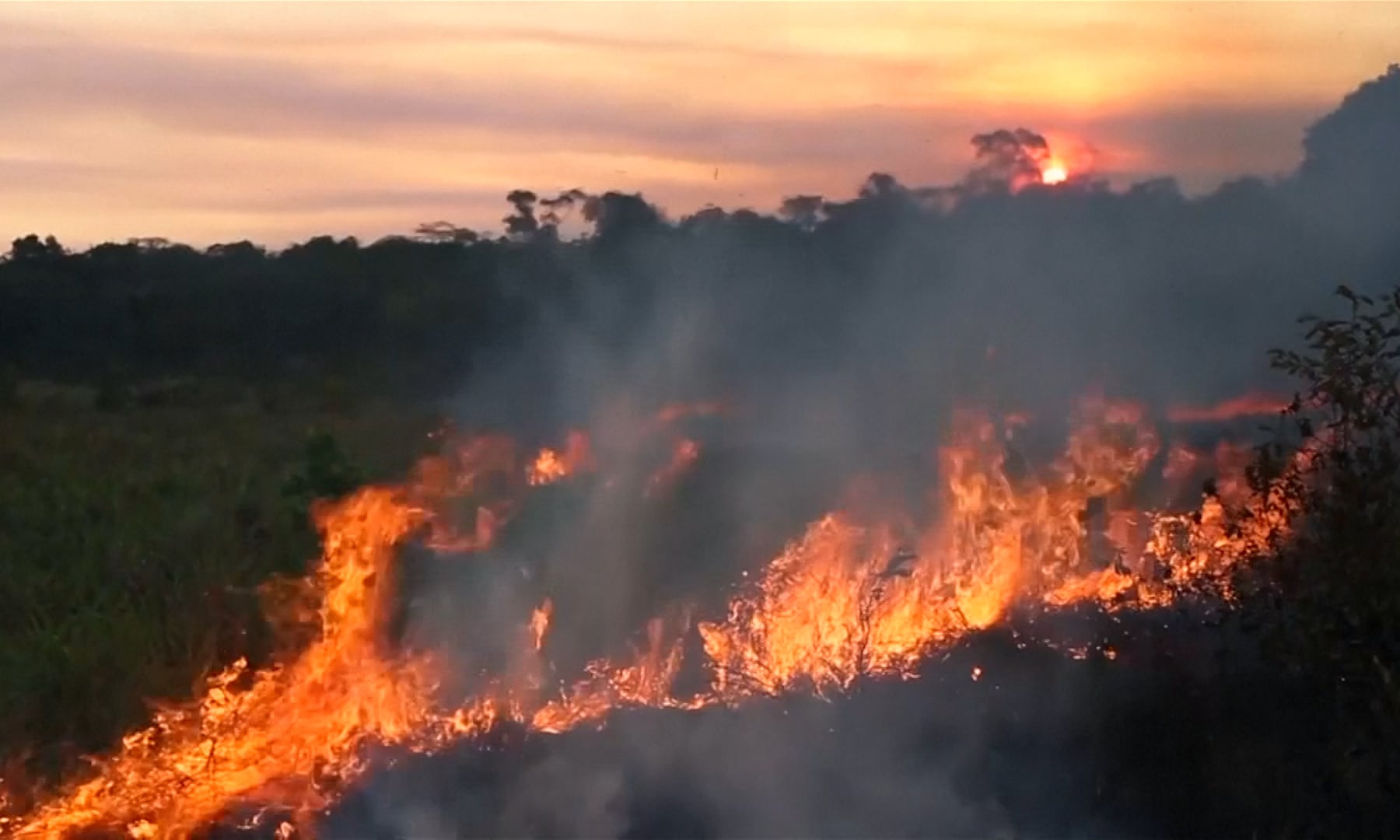 Early bushfire season for 74 NSW council areas The Echo