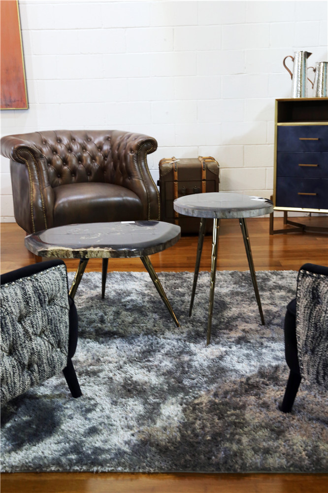 Dark Side Petrified Wood Coffee Table Living Room Furniture Brisbane
