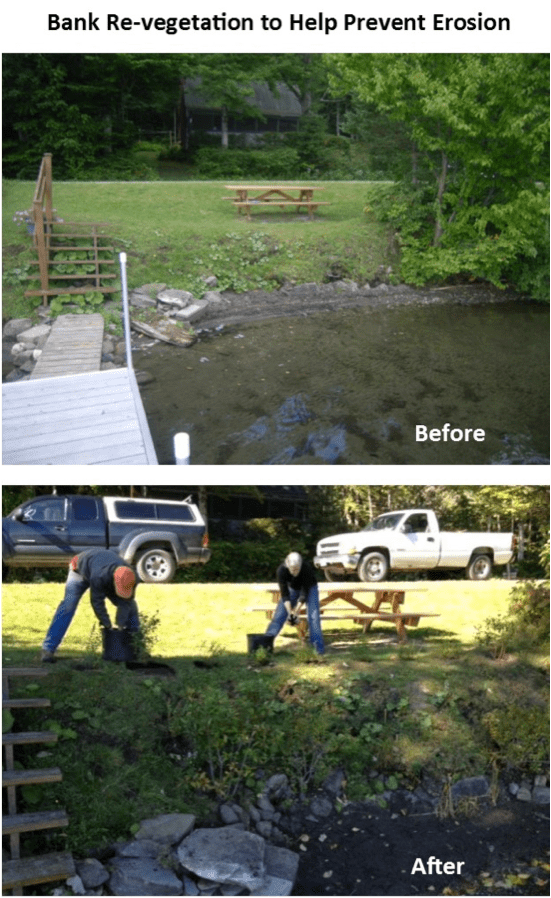 Landscaping Project Echo Lake Protective Association
