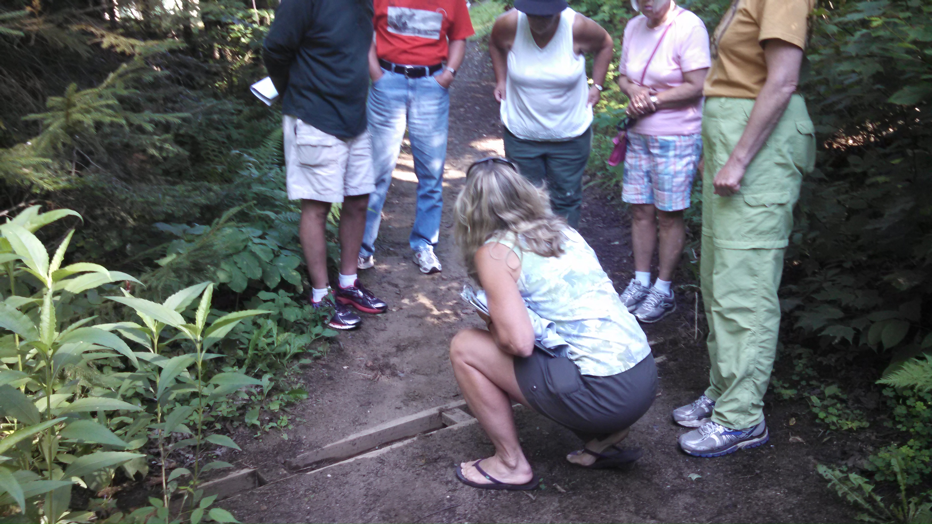 StormReady Echo Lake Protective Association