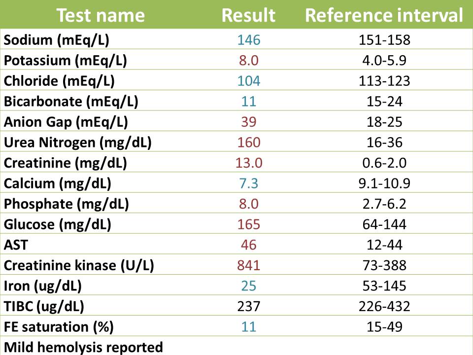 Full panel blood test for dogs