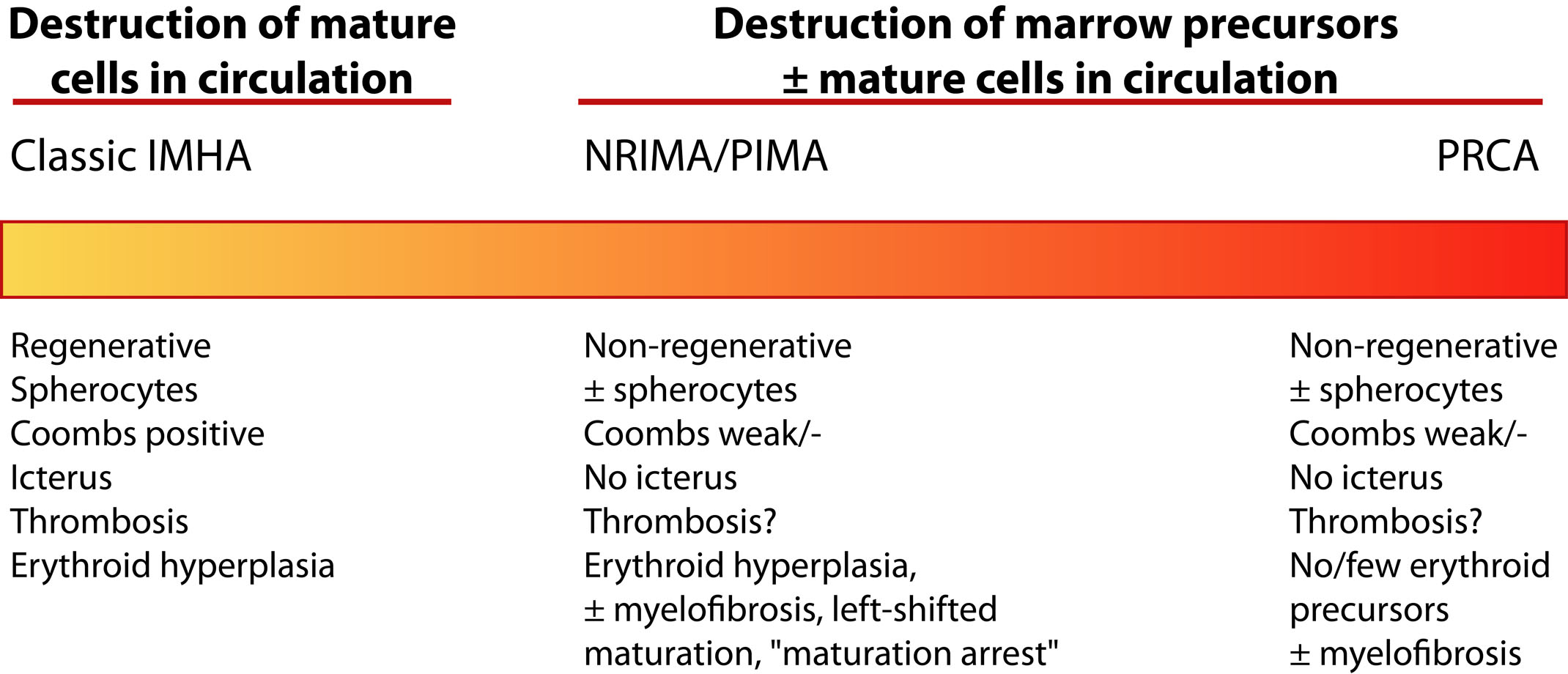 Spectrum of the different types of immunemediated anemia eClinpath