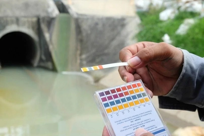 How to Raise pH In Your Pond 3 Best Methods Eco Filtration