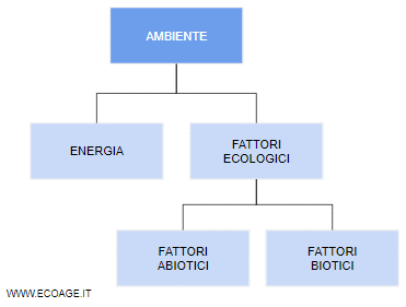 L'ambiente, Gli Elementi Abiotici E Biotici 281_x_371_gif