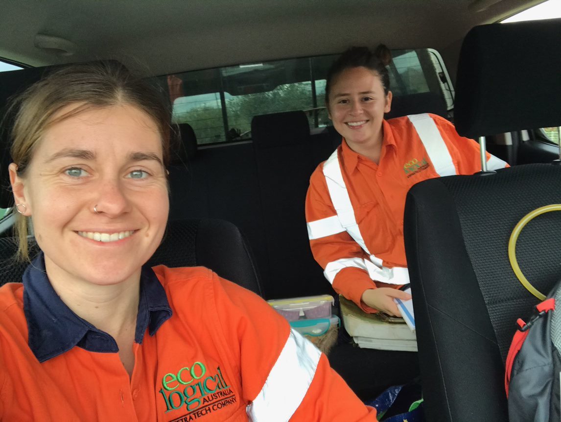 Top 42+ about eco logical australia latest NEC