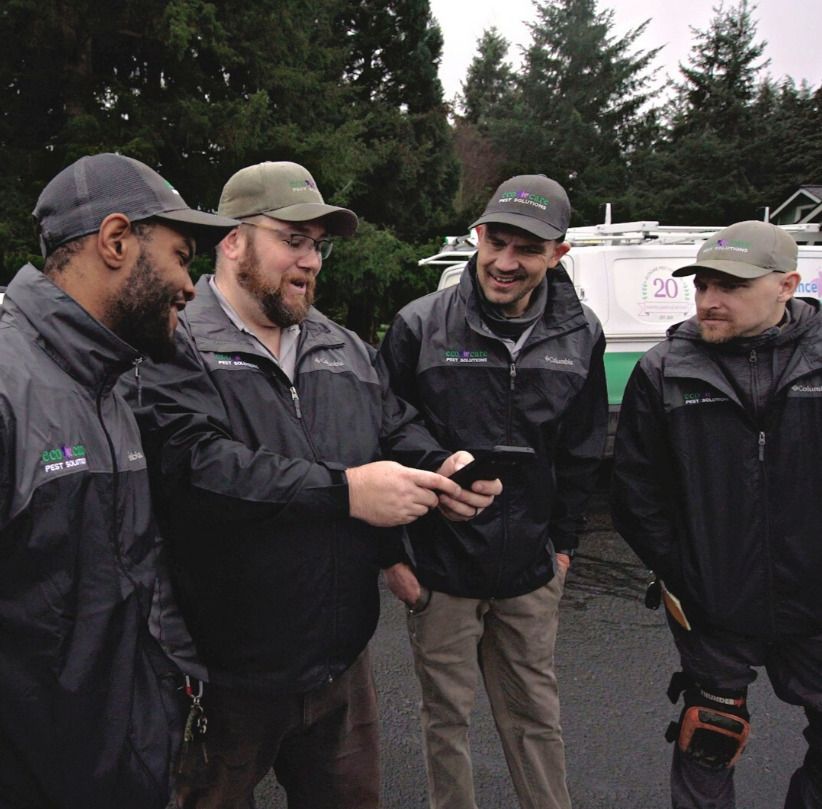 Pest Control Near Me Pest Control Portland OR EcoCare Pest Control