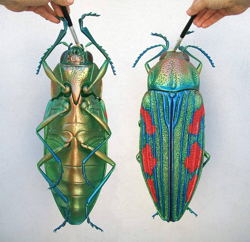 ecofauna 3D insect models