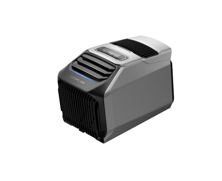 Portable Power Solutions for Vanlife&Road Trips EcoFlow CA