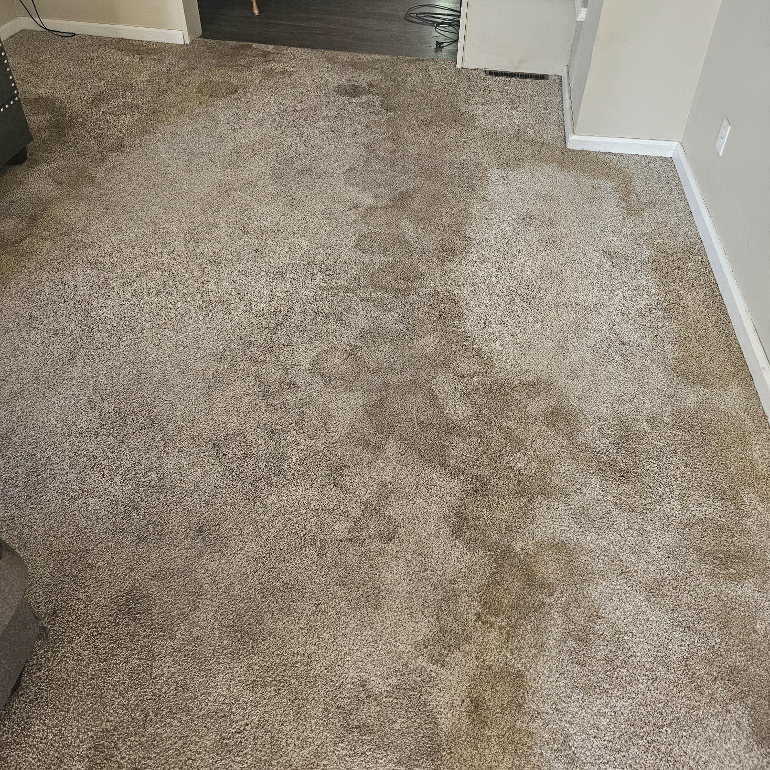 The 1 Carpet Cleaning in Sioux Falls, SD 300+ 5Star Reviews!