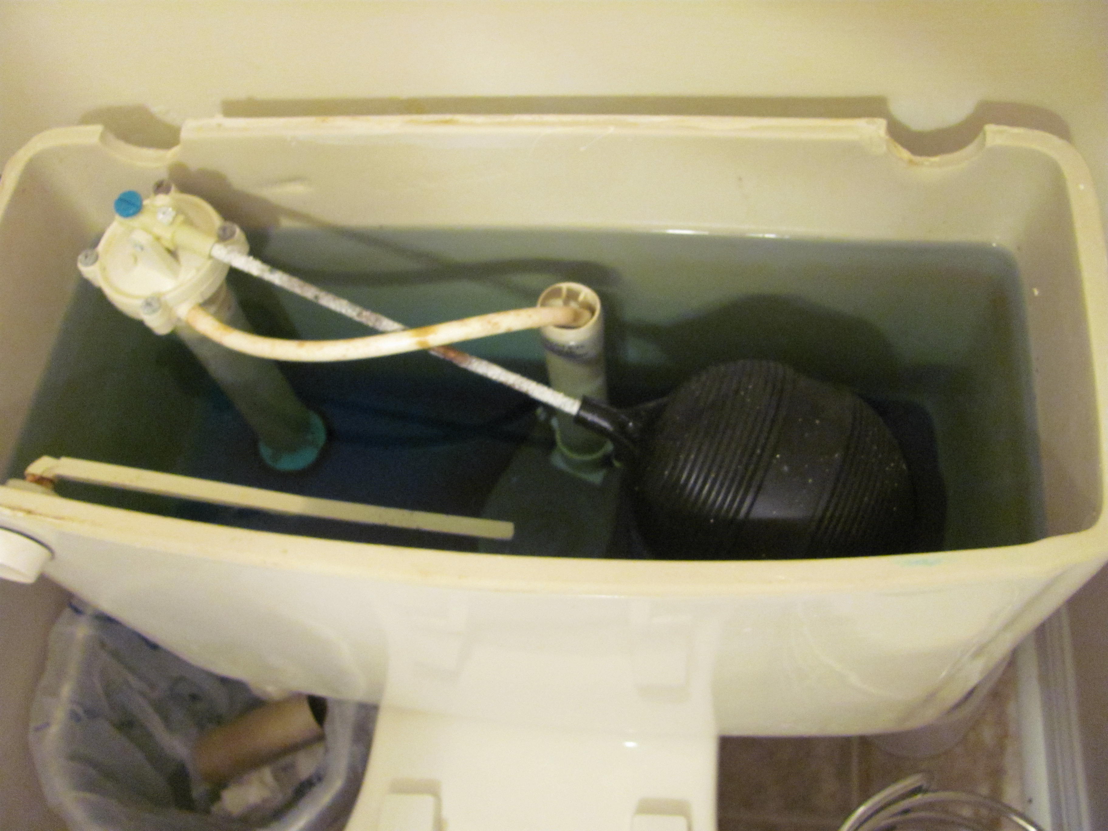 Green Thinking for the Average Joe » Blog Archive Fluidmaster Duo Flush
