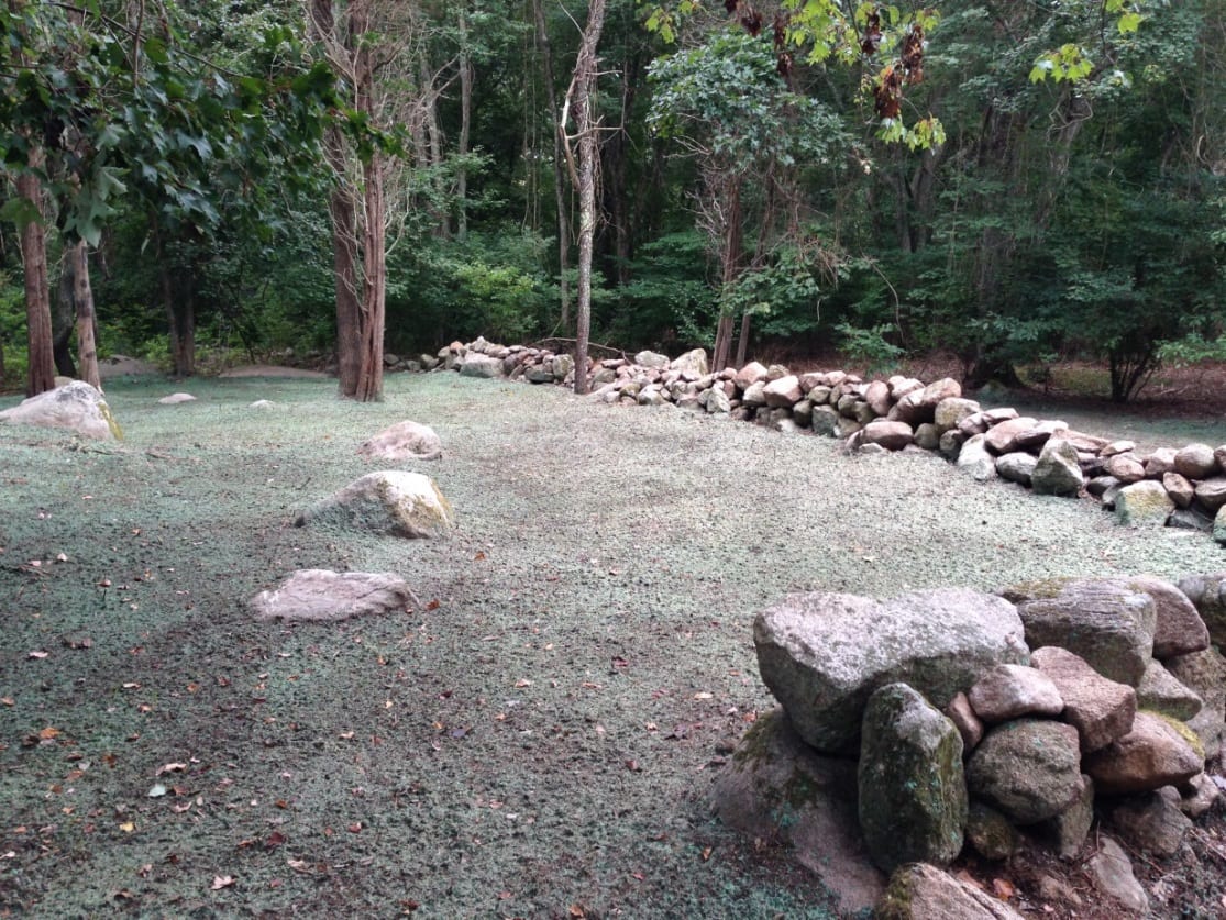 Ecological Restoration A Landscape Architect’s Perspective