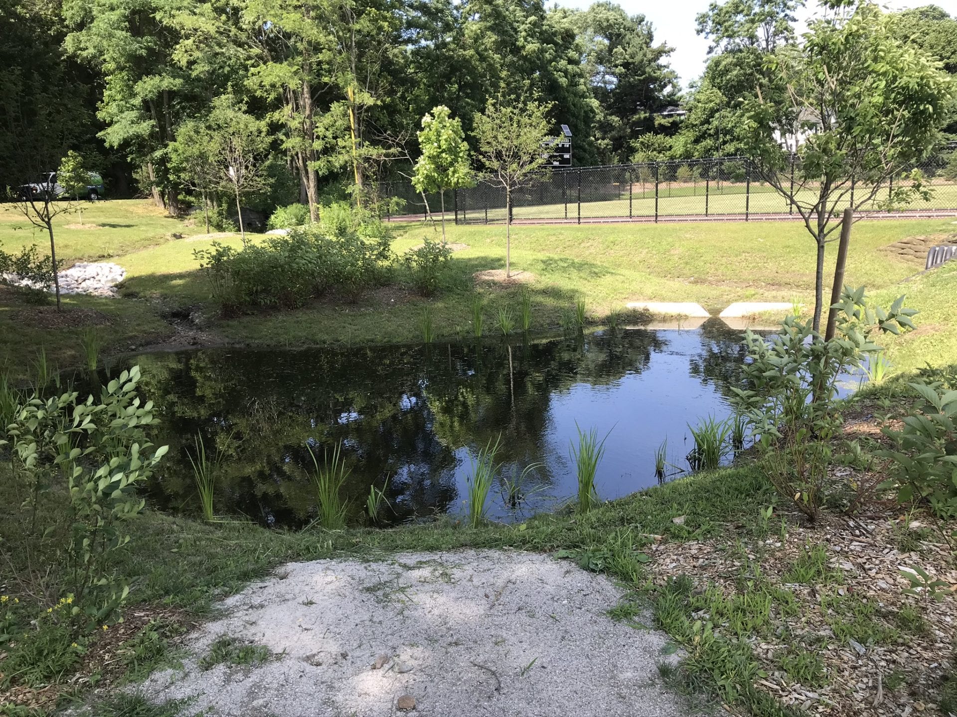 Merging NatureBased Solutions and Recreational Areas Ecological