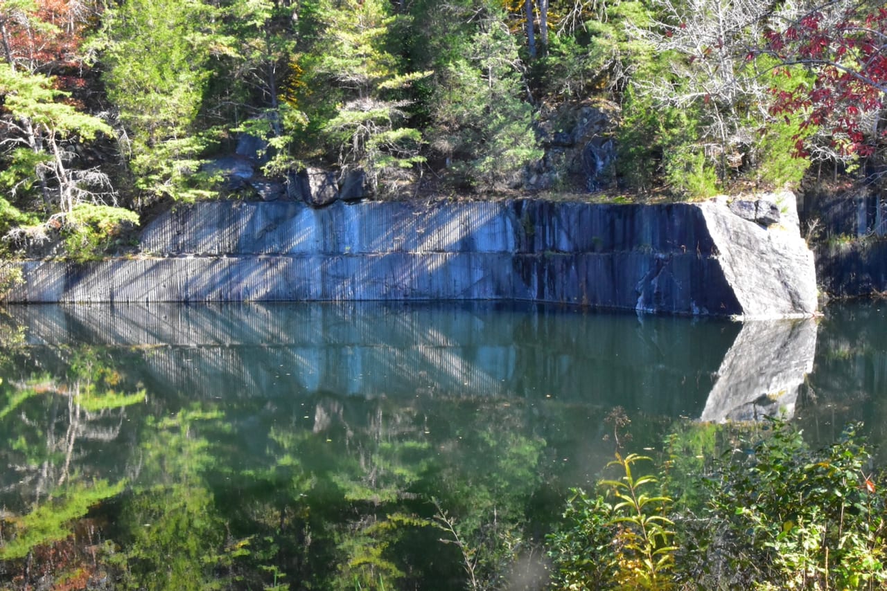 The Quarry Gardens at Schuyler Ecological Landscape Alliance