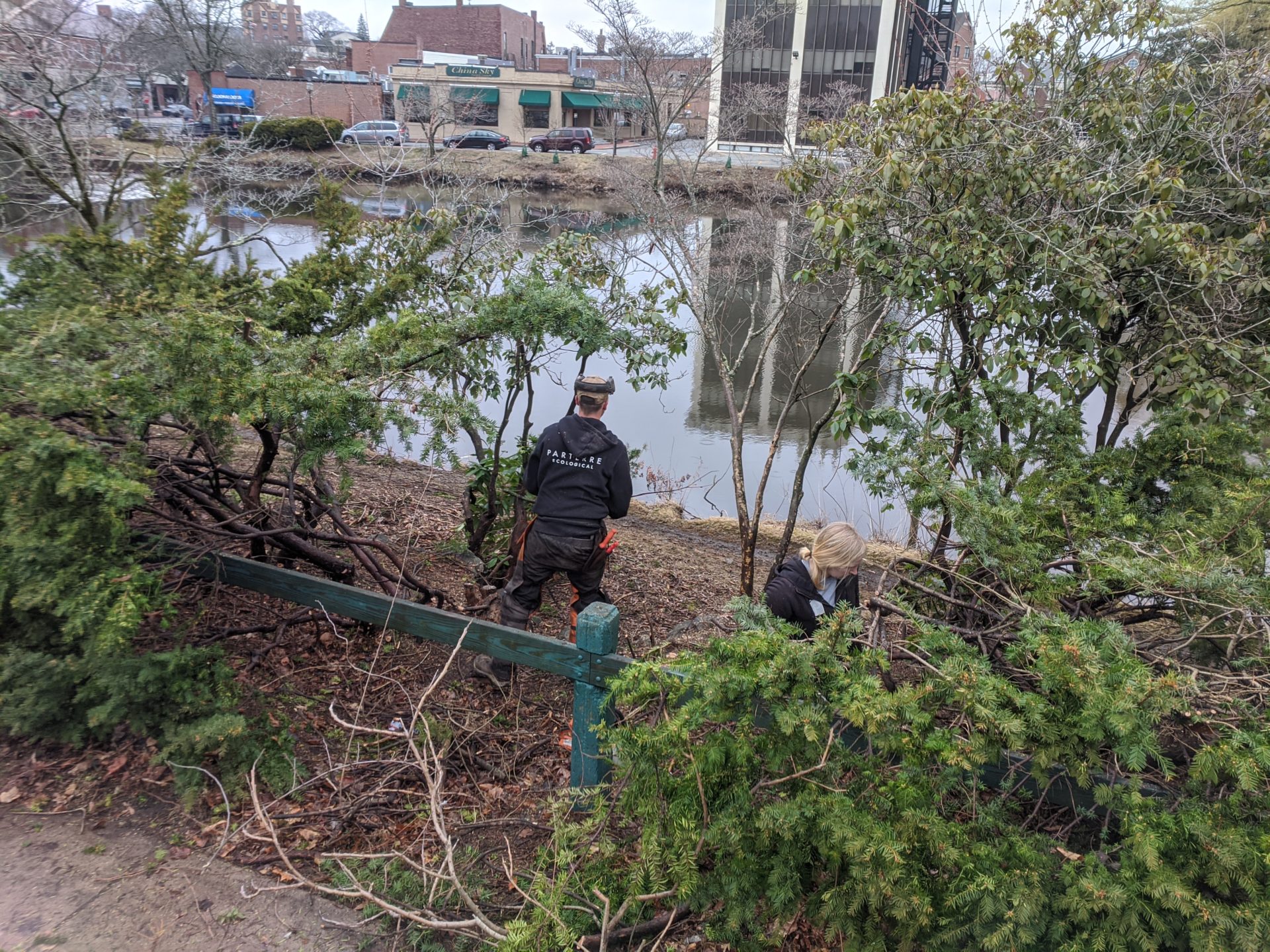 The Challenges and Opportunities for Riverbank Restoration Ecological