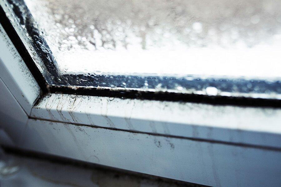 Correcting Replacement Window Problems Everything You Need To Know