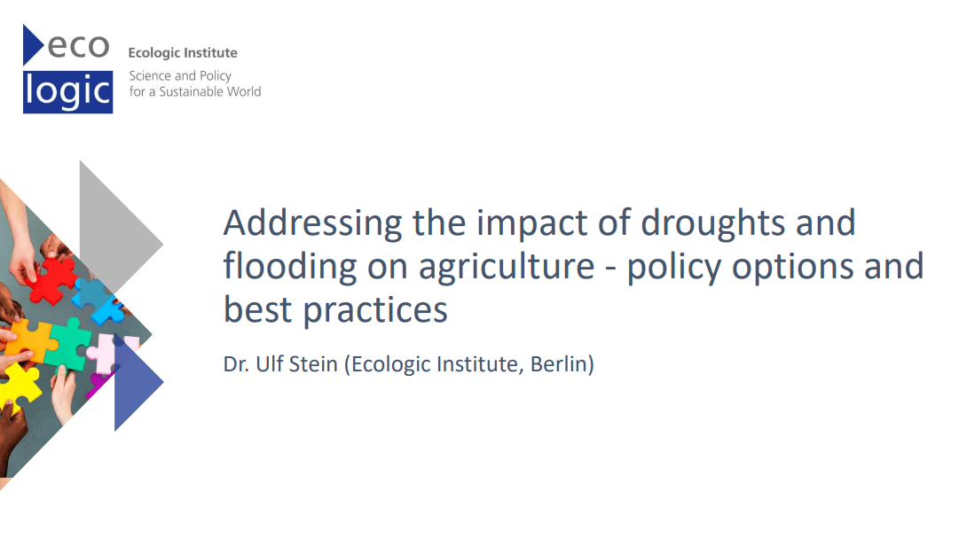 Addressing the Impact of Droughts and Flooding on Agriculture