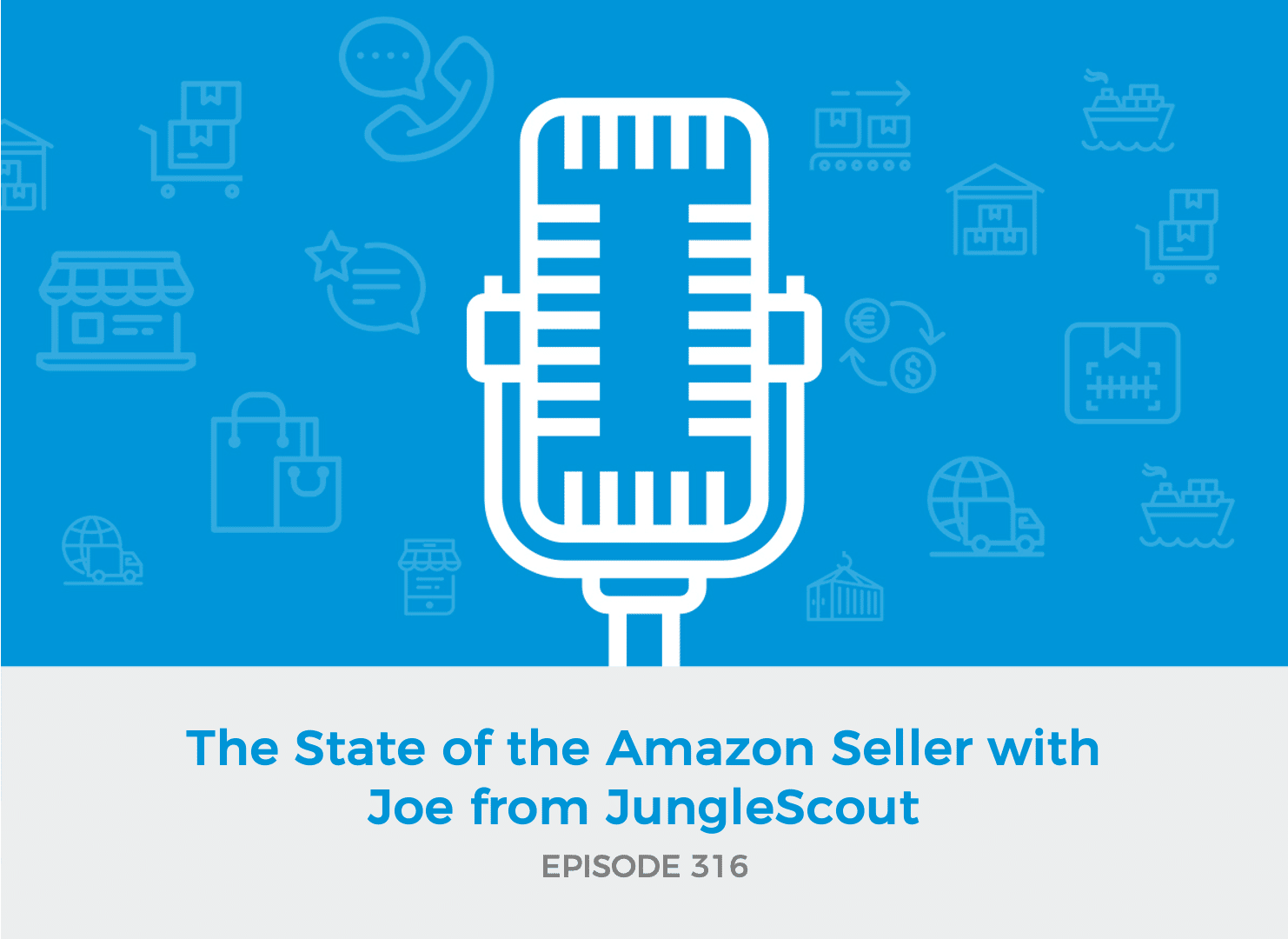 E316 The State of the Amazon Seller with Joe from JungleScout