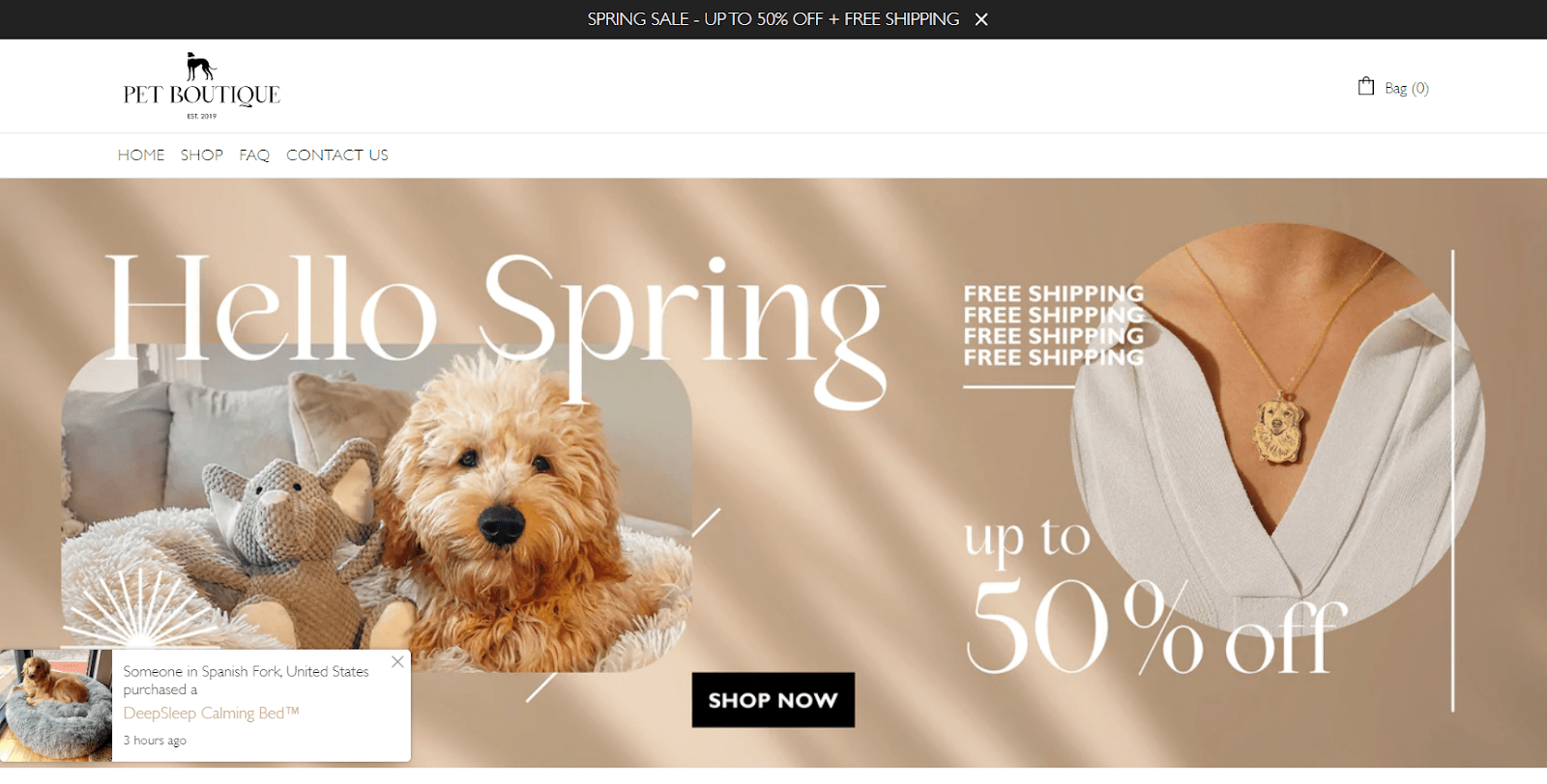 19 Popular Dropshipping Stores for Inspiration in 2022