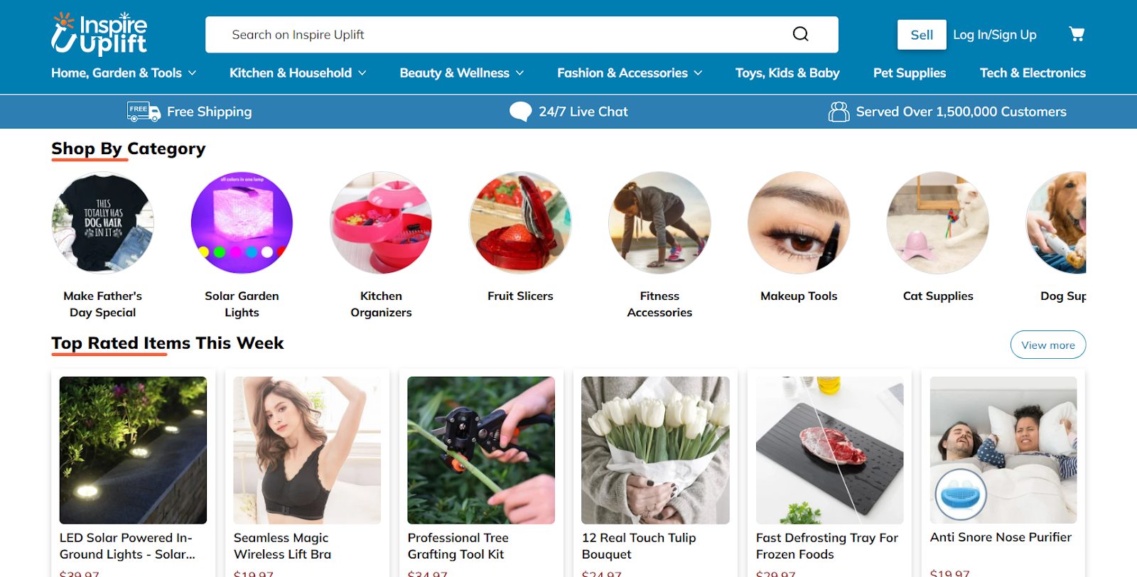 19 Popular Dropshipping Stores for Inspiration in 2024