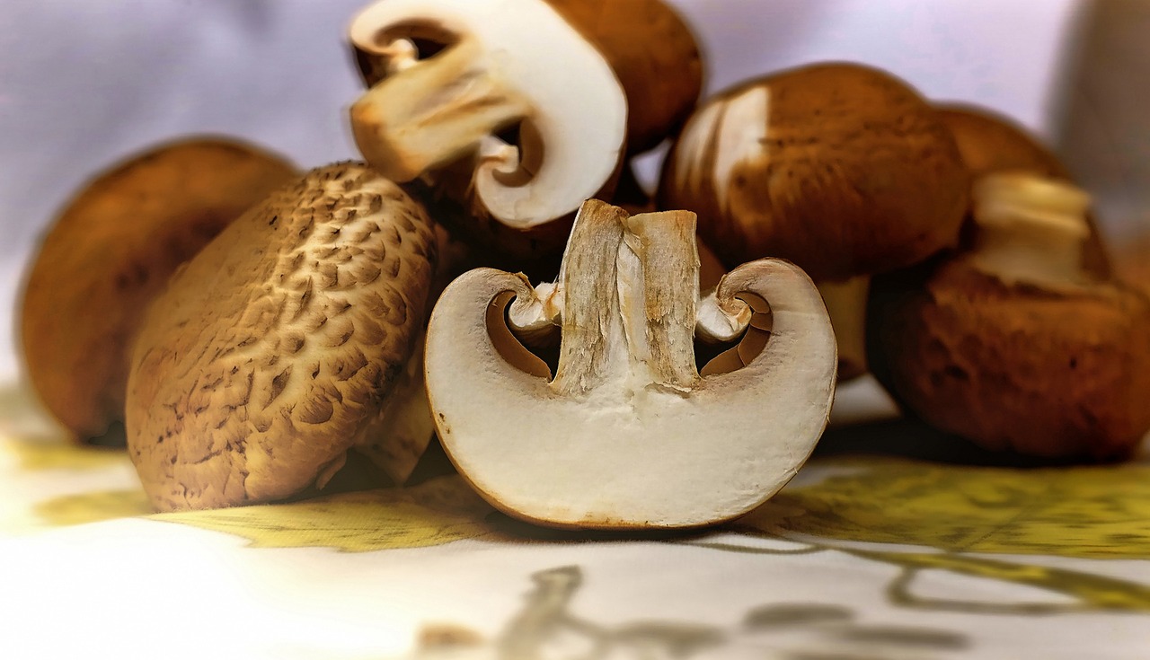 How to Sell a Ton of Mushrooms