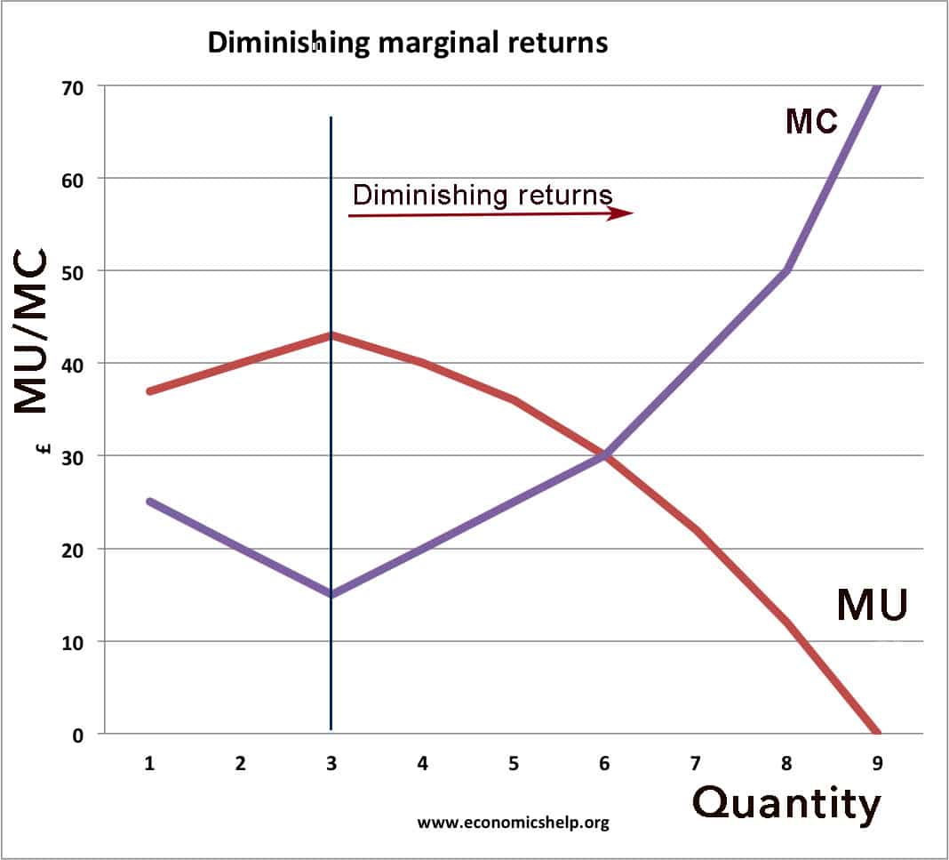 What is the optimal quantity of beer to drink? Economics Help