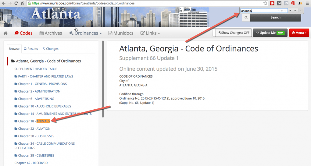 Can I Have Chickens In My Town? The Ultimate Guide