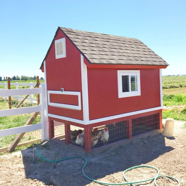 29 Pallet Chicken Coop Ideas (WeekendFriendly)
