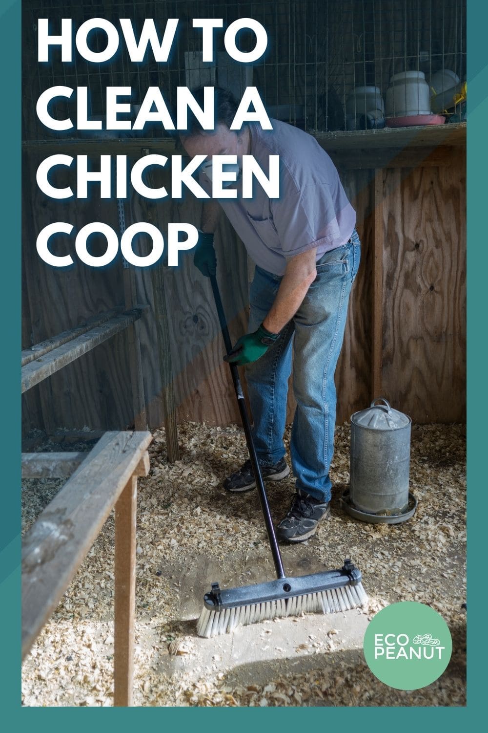 How to Clean a Chicken Coop (Stepbystep Guide)