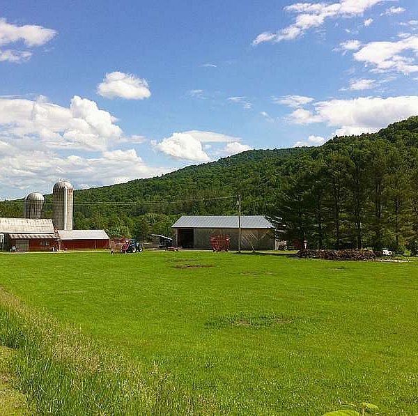 Ecopixel launches a new responsive website for Stowe Land Trust Ecopixel