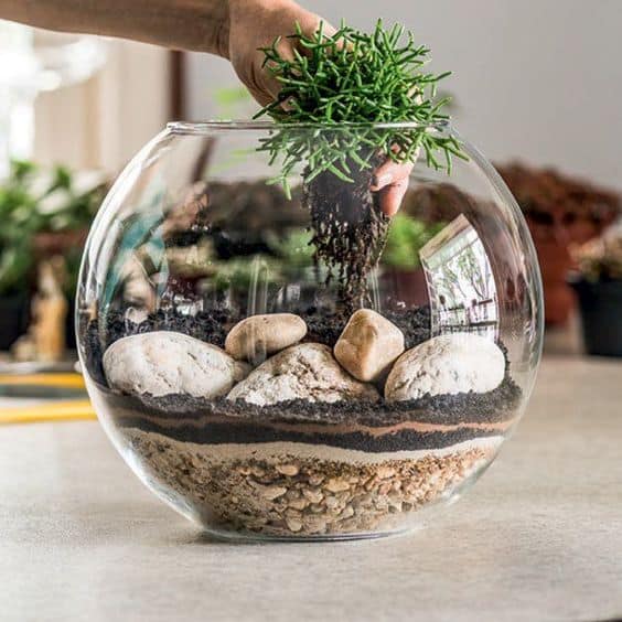 6 Key Essential Ingredients In A Terrarium Soil Mix Ecoponics Singapore