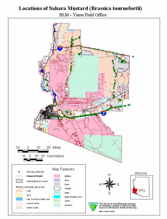Sahara Mustard location, BLM Yuma Field Office
