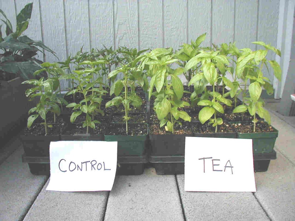 Quick & Easy, Secret Brew To Grow Your Plants 3 Times Faster… Eco