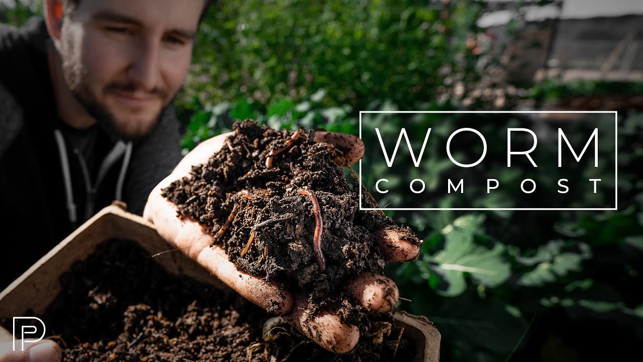 Turn Garbage Into Food With A Worm Bin… Eco Snippets