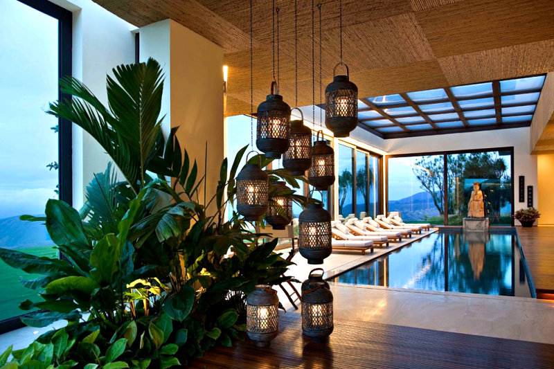 10 Rooms With Elegant Indoor Plants Ecotek Green Living 10 Rooms With Elegant Indoor Plants Ecotek Green Living